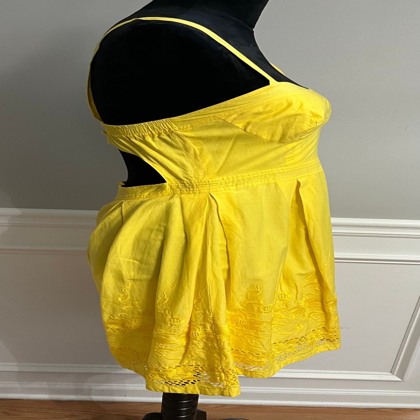 Walter Baker Dress with Embroidery Design