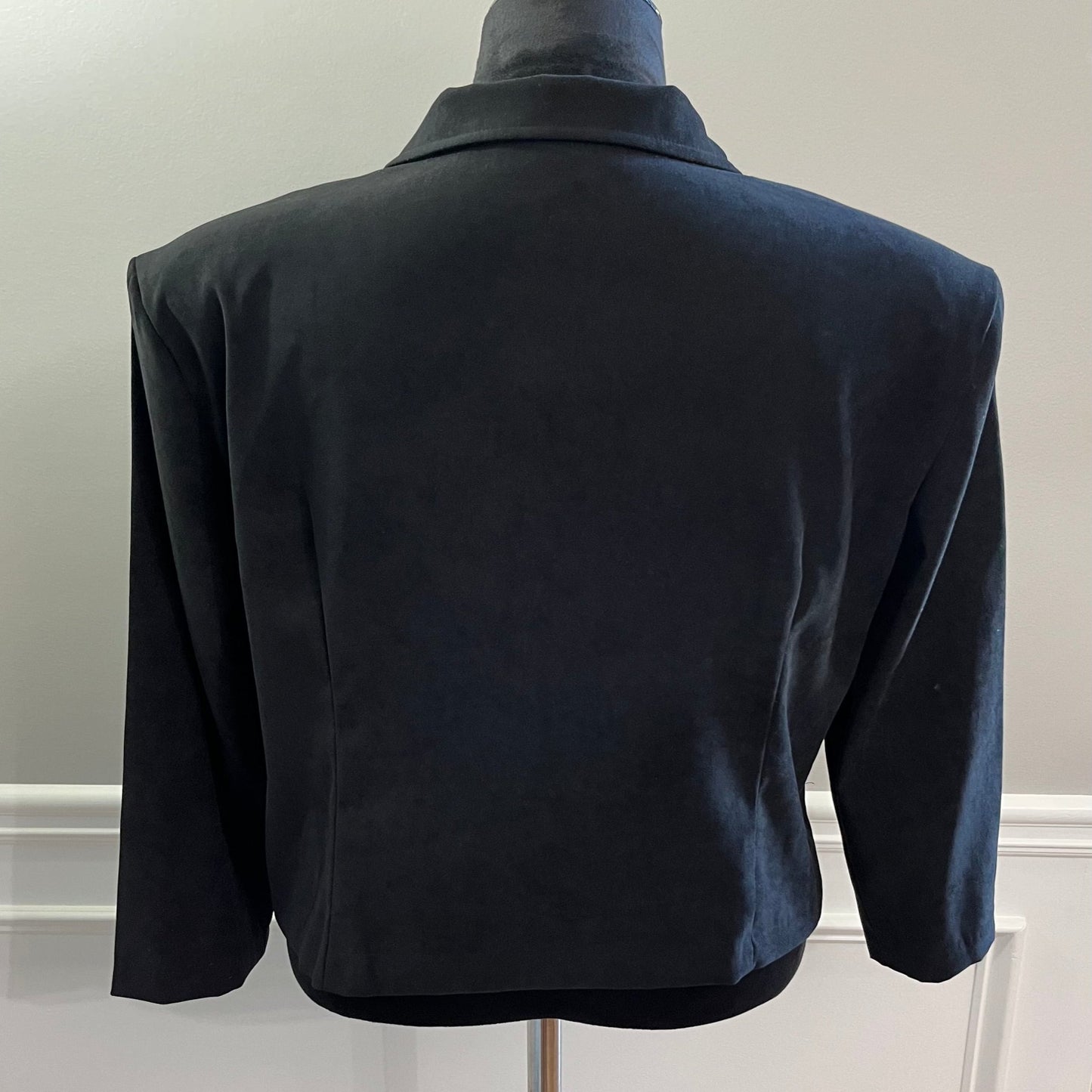 Briggs Petite Blazer